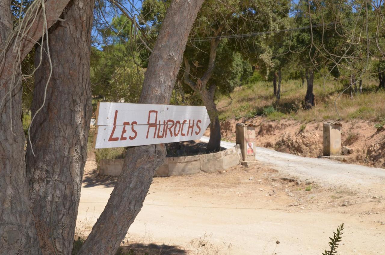 Les Aurochs Bed & Breakfast Grimaud Exterior photo
