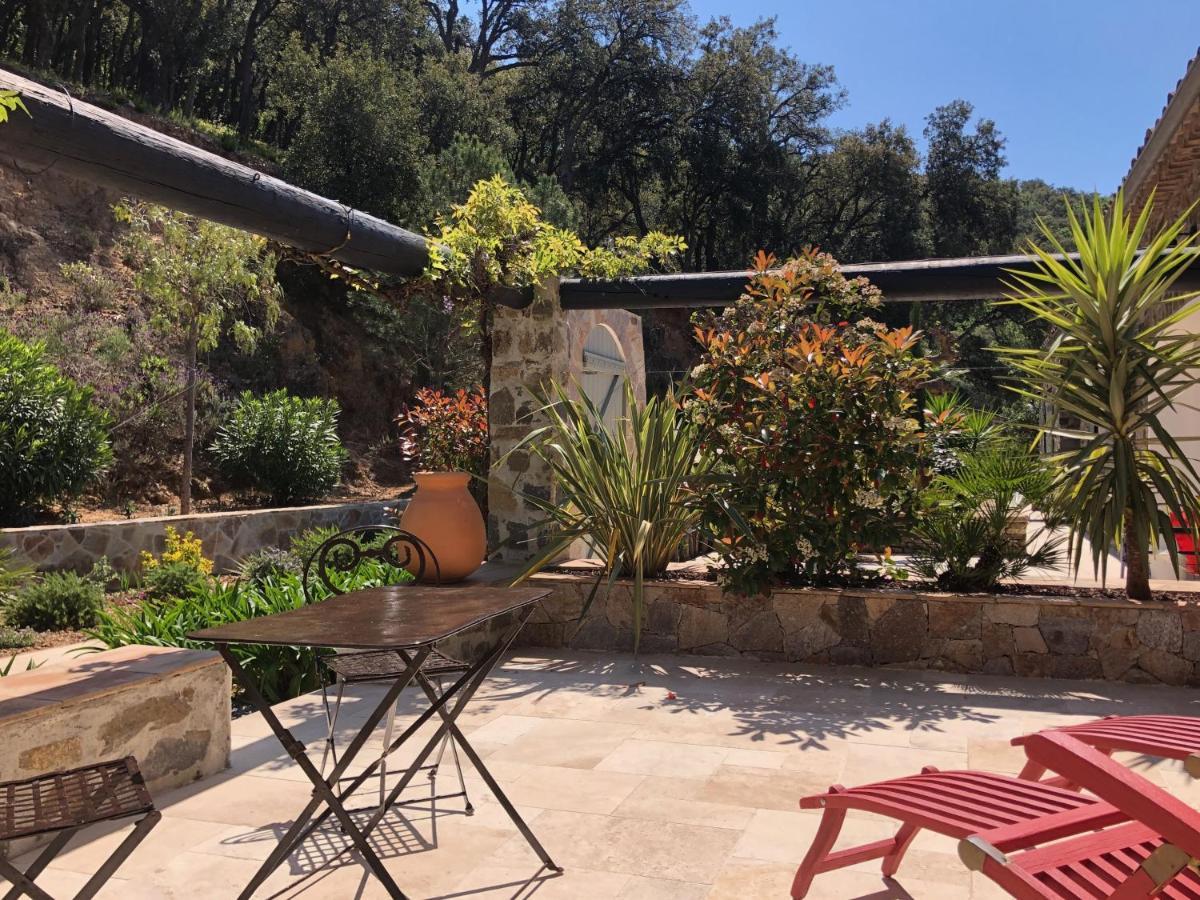 Les Aurochs Bed & Breakfast Grimaud Exterior photo